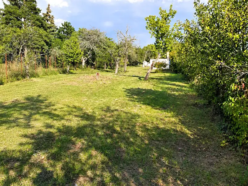 Prodej stavebního pozemku 2114 m², Brno – náhled fotky 2