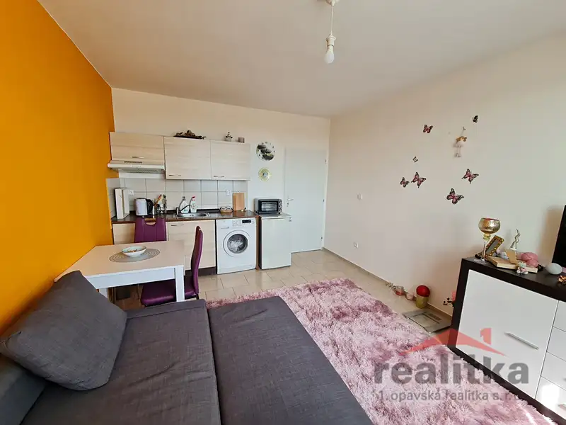 Pronájem bytu 1+kk 22 m², Opava – náhled fotky 1