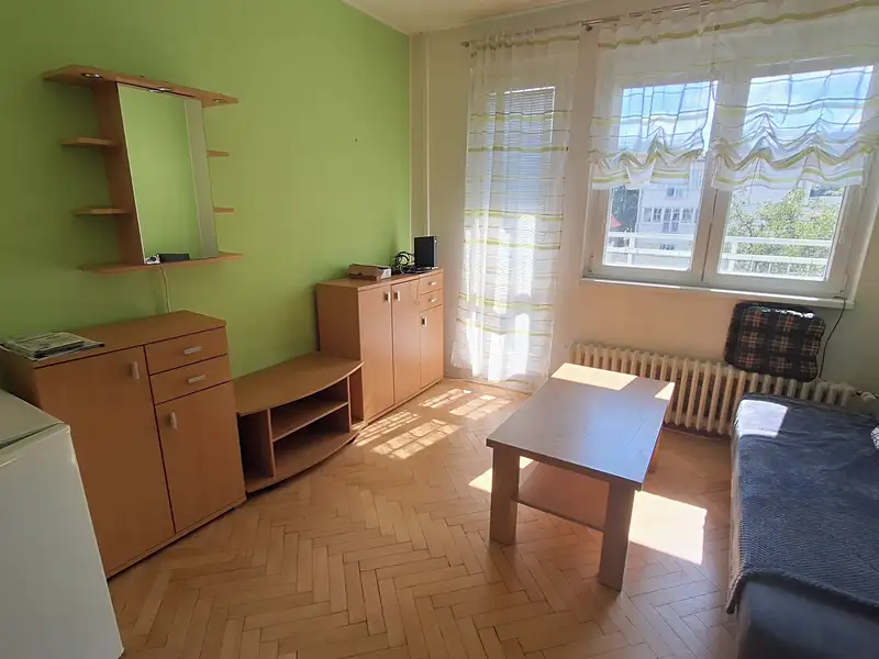 Pronájem bytu 1+kk 28 m², Zlín – náhled fotky 1