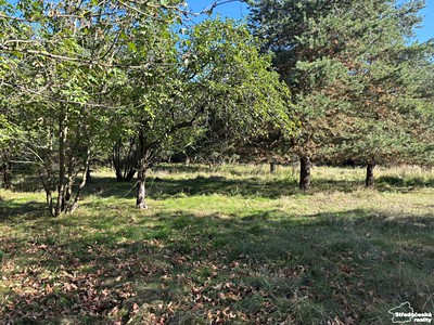 Grundstück zum Kauf, 3.530 m² (2 von 11)