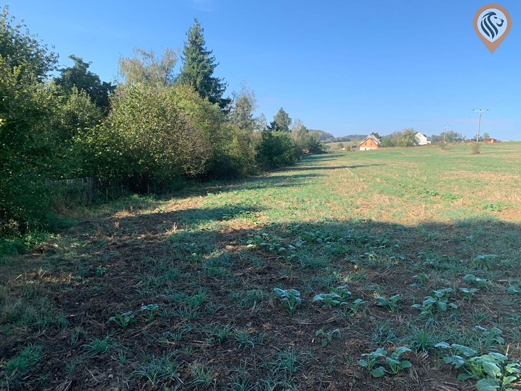 Prodej pozemku, 9 675 m² (15 z 30)
