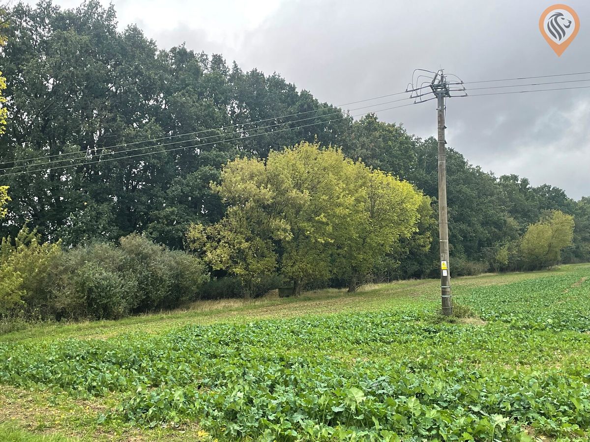 Prodej pole 7001 m², Úhonice – fotka 1 z 3