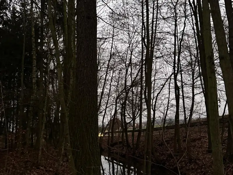 Prodej lesa 6263 m², Předslav – náhled fotky 3