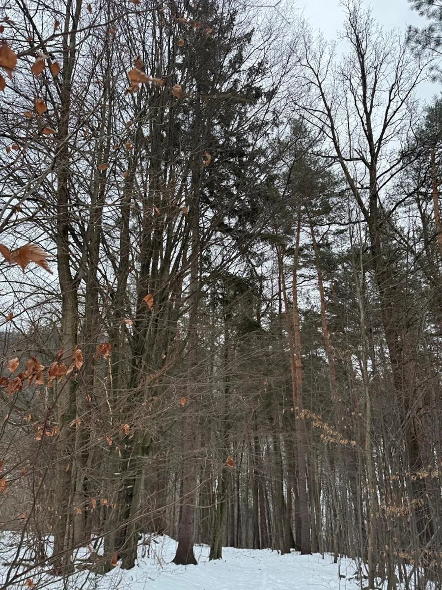 Fotka 9 z 17