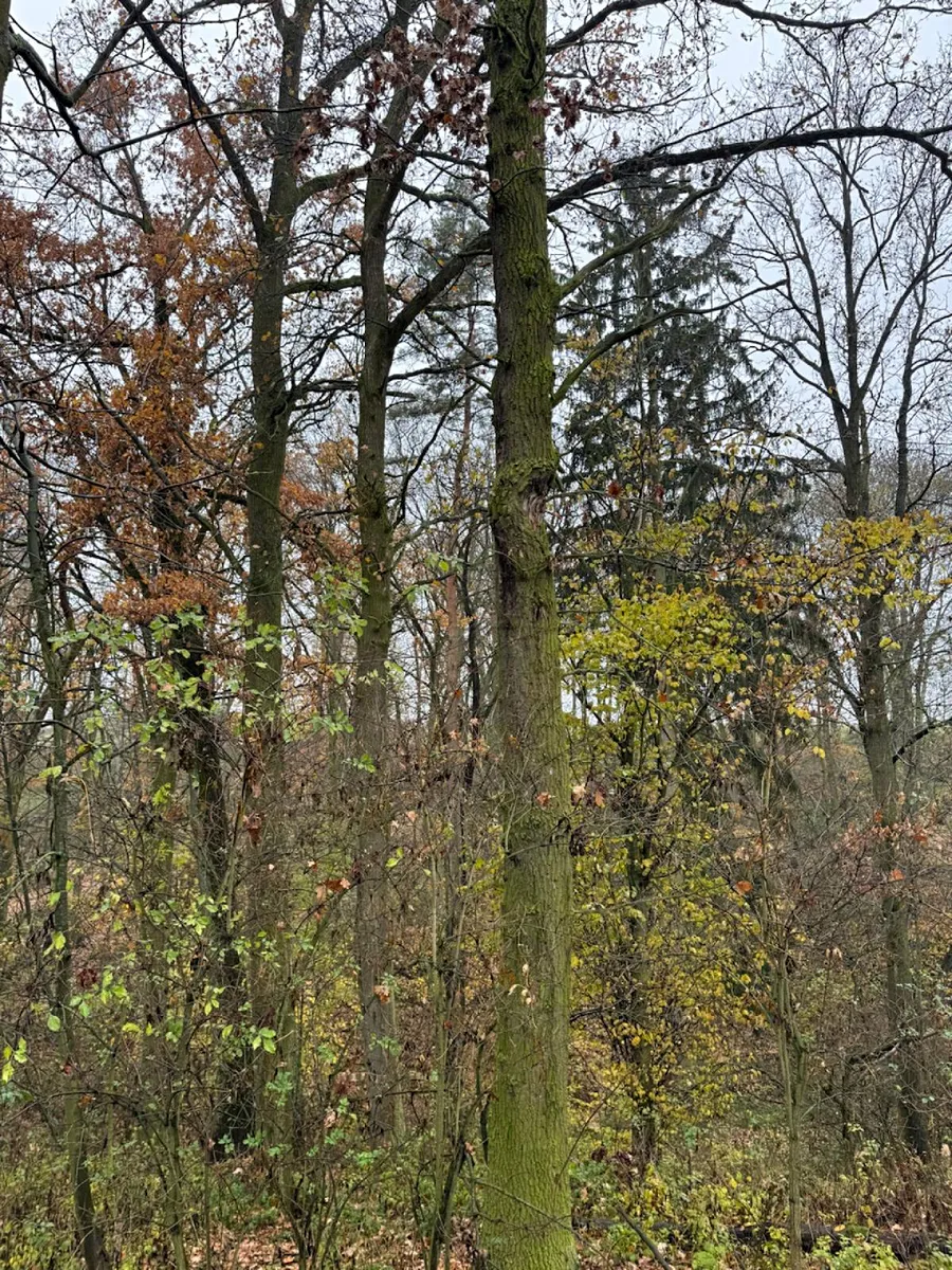 Fotka 6 z 10