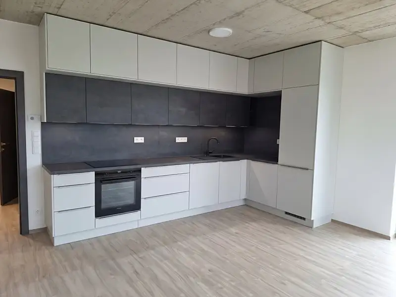 Pronájem bytu 3+kk 75 m², Liberec – náhled fotky 1
