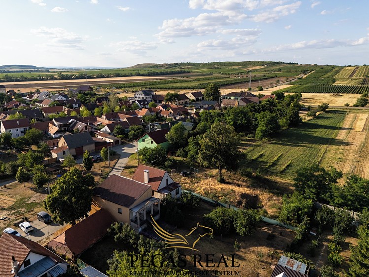 Ostatní