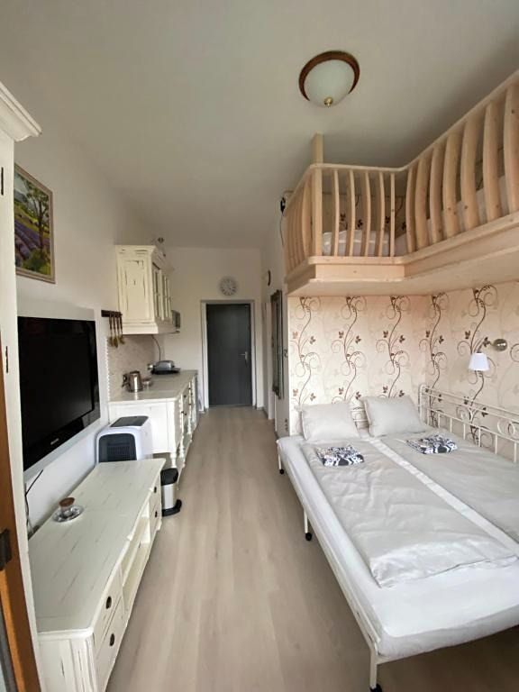 Pronájem bytu 1+kk 31 m², Slapy – fotka 1 z 3