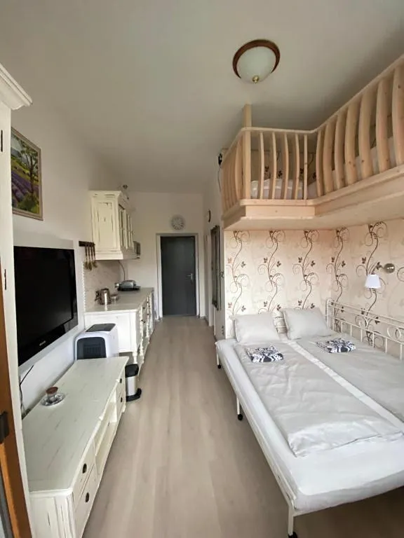 Pronájem bytu 1+kk 31 m²