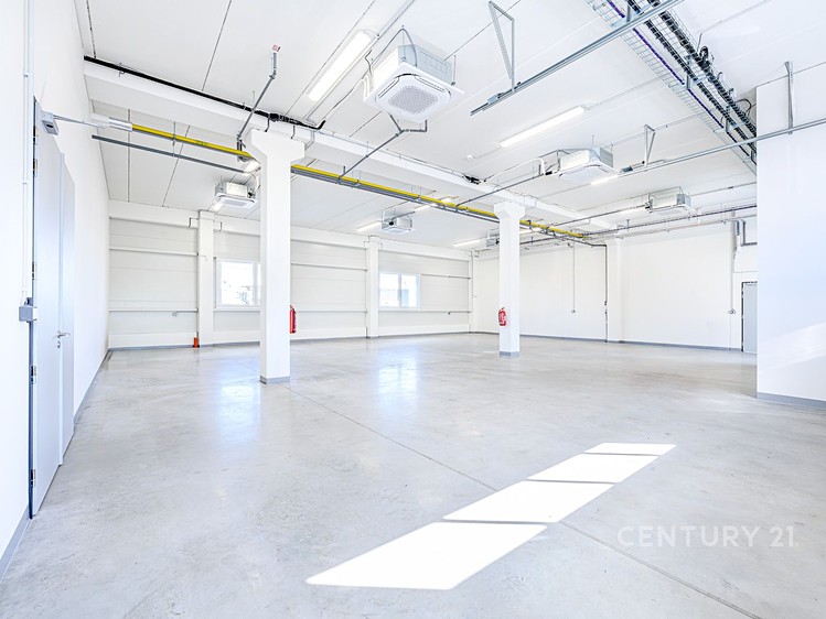 Pronájem komerčního prostoru, 348 m² (6 z 20)