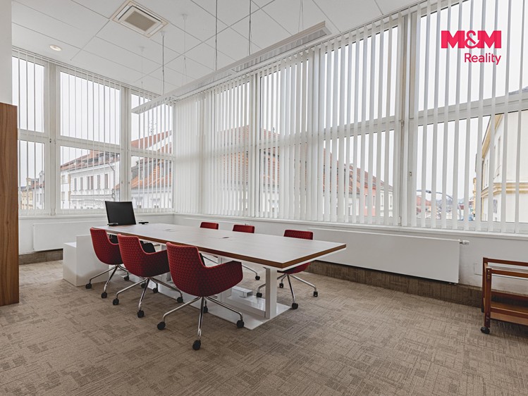 Pronájem komerčního prostoru, 396 m² (3 z 30)