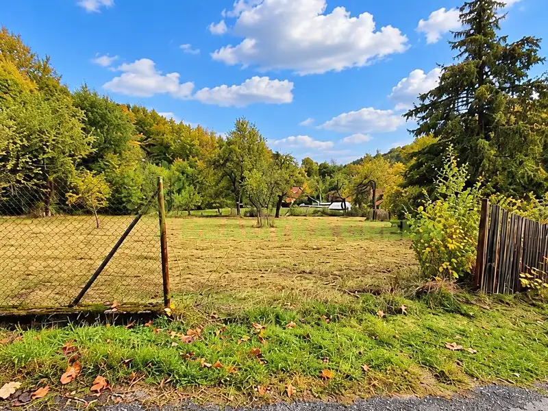 Prodej stavebního pozemku 2296 m², Růžďka – náhled fotky 2