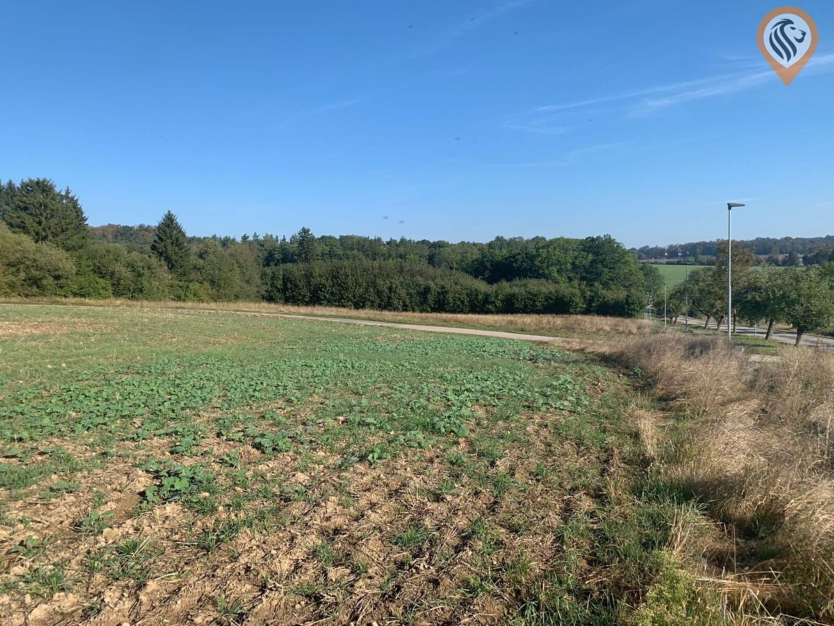 Prodej stavebního pozemku 9675 m², Postupice – fotka 1 z 3