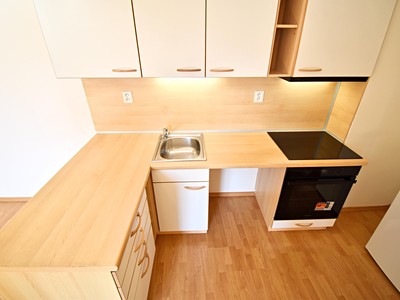 Wohnung 3+kk zur Miete, 62 m² (3 von 9)