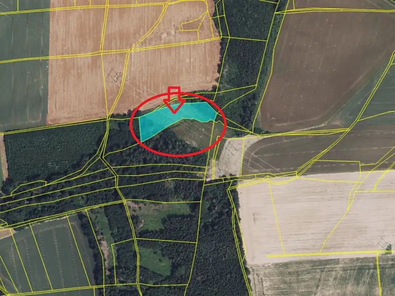Prodej lesa 5791 m², Vysoké Mýto – náhled fotky 2