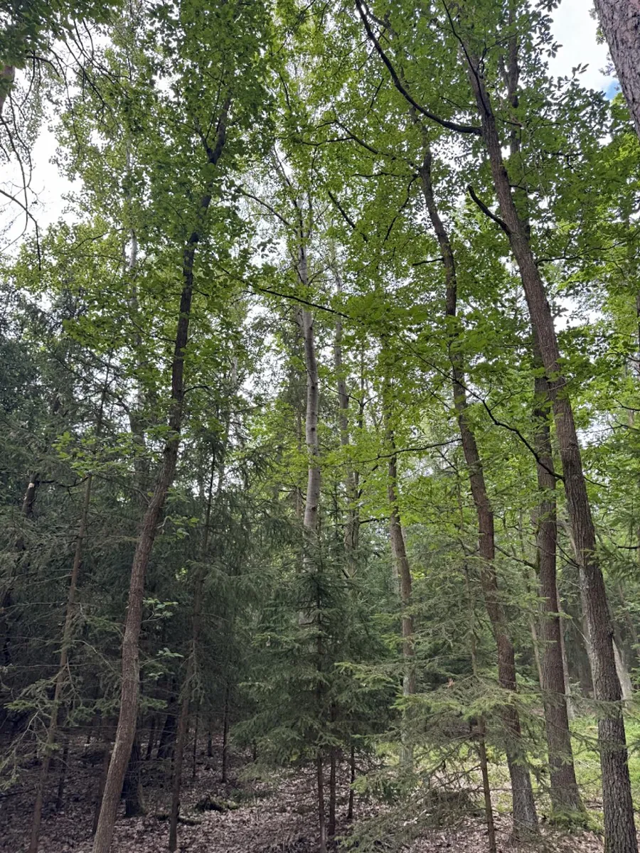 Fotka 6 z 16