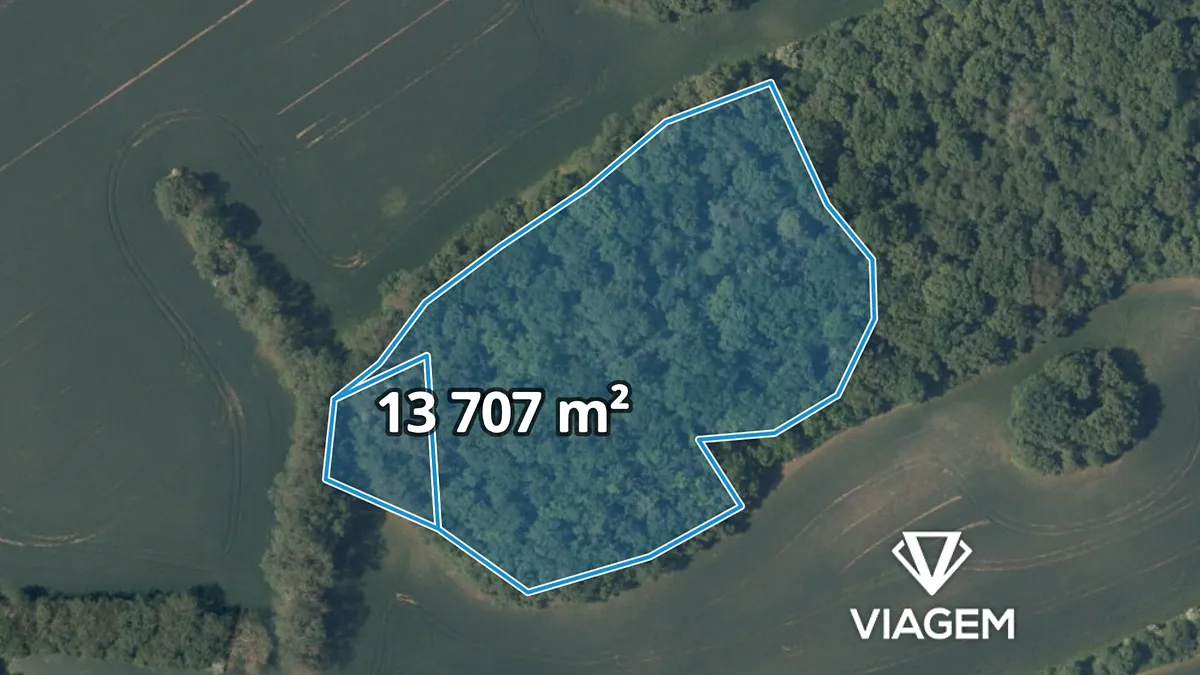 Prodej lesa 13707 m²