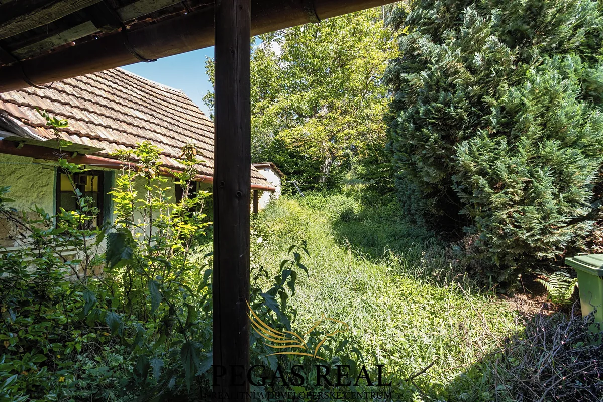 Fotka 10 z 12