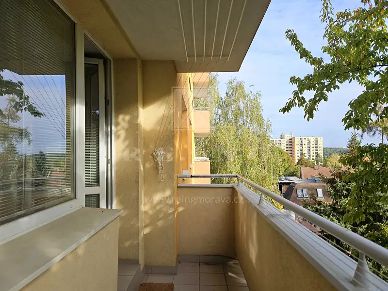 Pronájem bytu 2+1 60 m², Brno – náhled fotky 1
