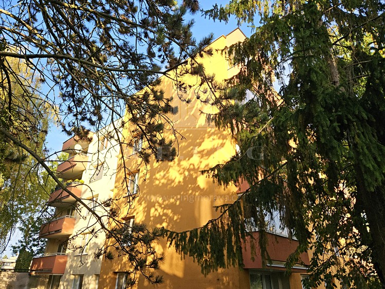 Ostatní
