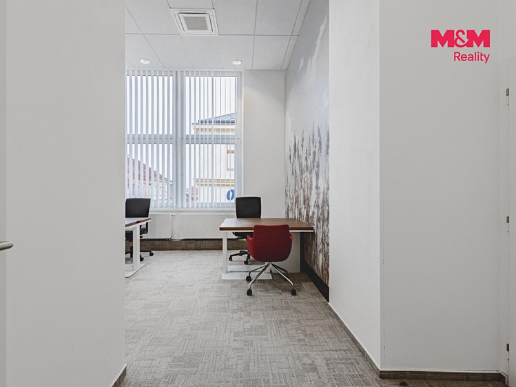 Pronájem komerčního prostoru, 396 m² (22 z 30)