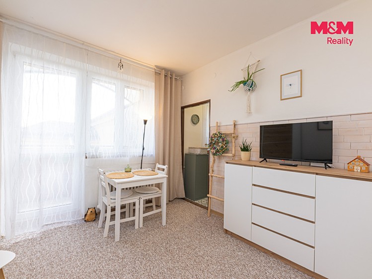 Prodej bytu 1+1, 27 m² (3 z 9)