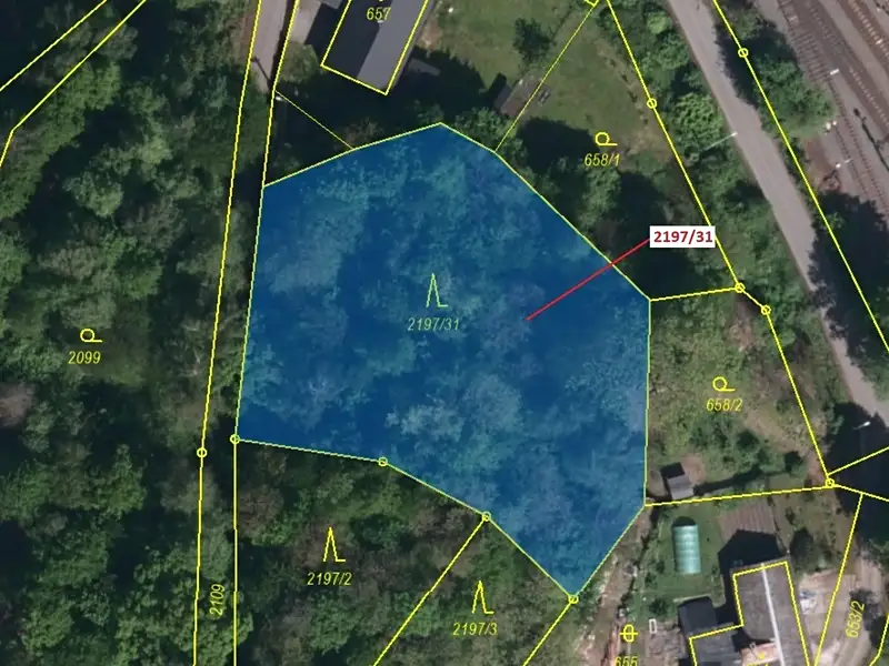 Dražba lesa 1999 m², Karviná – náhled fotky 2