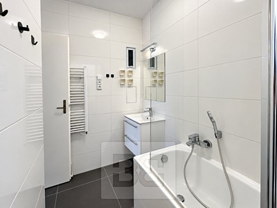 Pronájem bytu 1+kk, 27 m² (3 z 16)