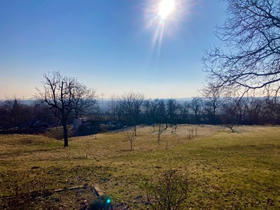 Grundstück zum Kauf, 1.094 m² (3 von 23)