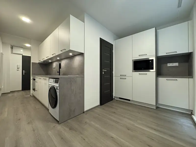 Pronájem bytu 1+1 44 m², Olomouc – náhled fotky 1