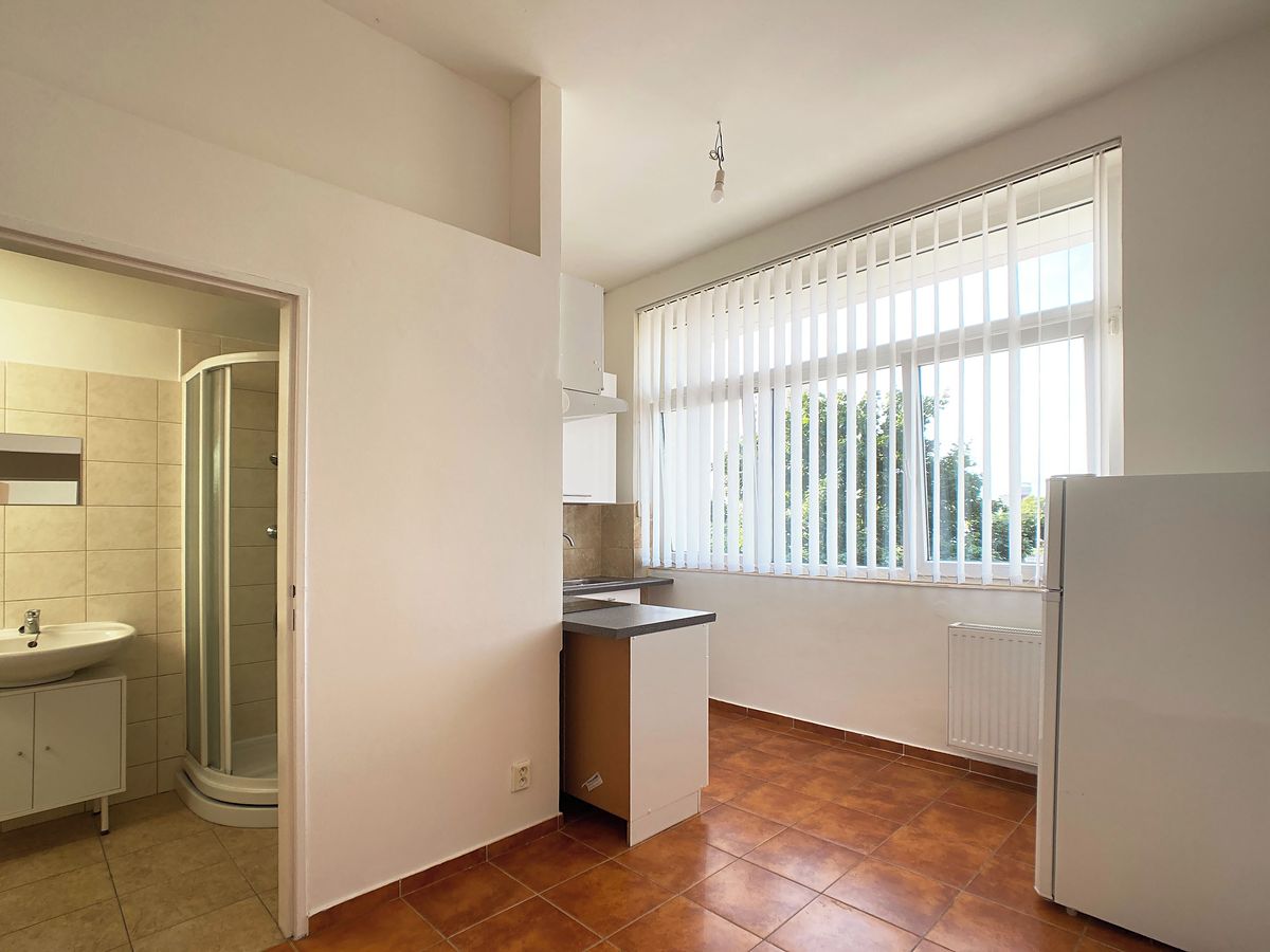 Pronájem bytu 2+1 43 m², Praha – fotka 1 z 3