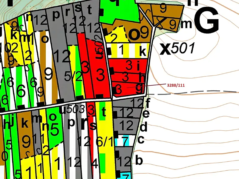 Dražba lesa 978 m², Hosty – náhled fotky 3