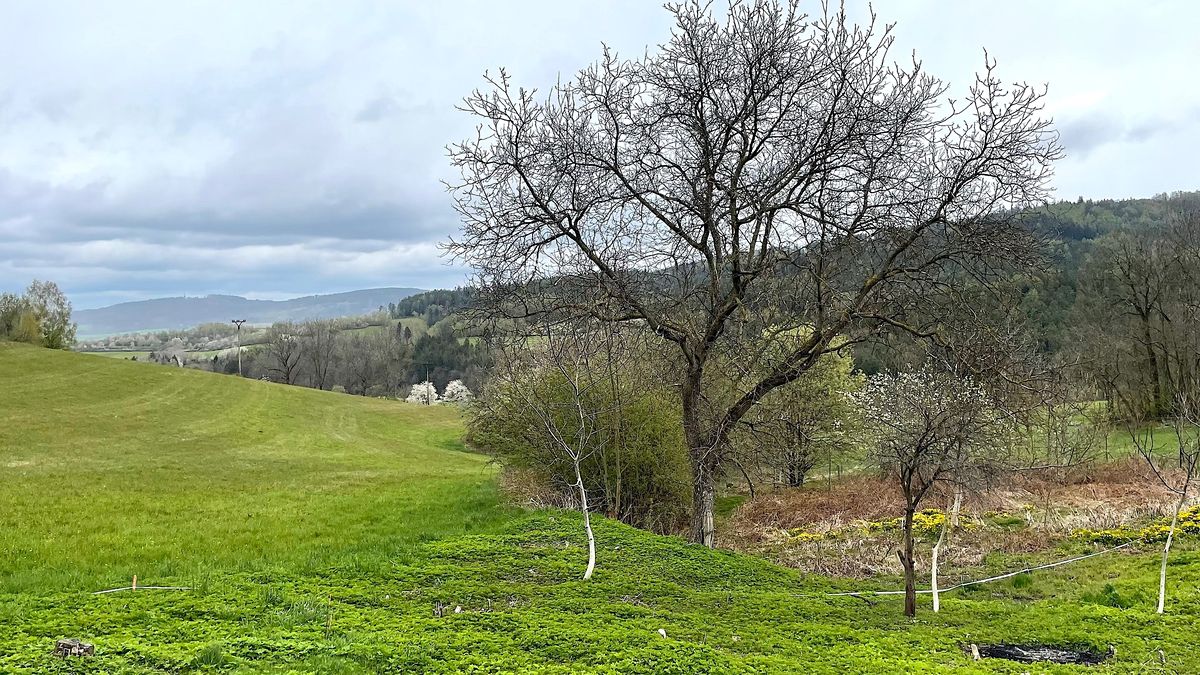 Prodej stavebního pozemku 779 m², Klatovy – fotka 1 z 3