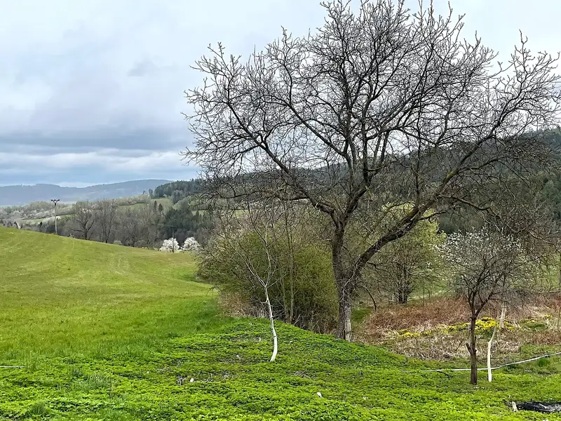 Prodej stavebního pozemku 779 m², Klatovy – náhled fotky 1