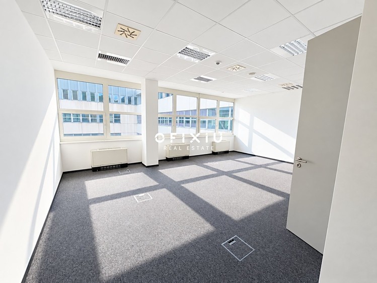 Gewerbefläche zur Miete, 300 m² (3 von 9)