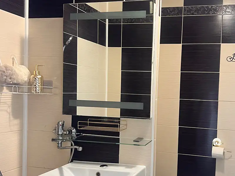 Prodej bytu 1+1 37 m², Frýdek-Místek – náhled fotky 3