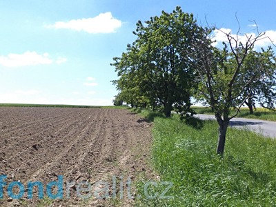 Grundstück zum Kauf, 1.053 m² (3 von 9)