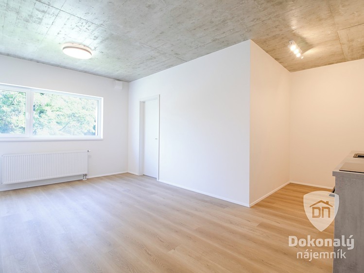 Квартира 2+kk в оренду, 48 м² (4 з 21)