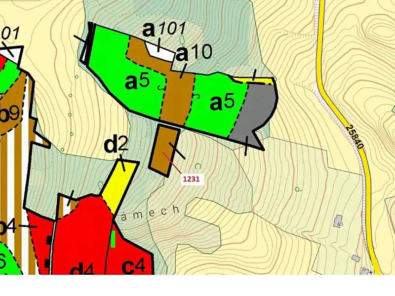 Dražba lesa 1462 m², Stebno – náhled fotky 3