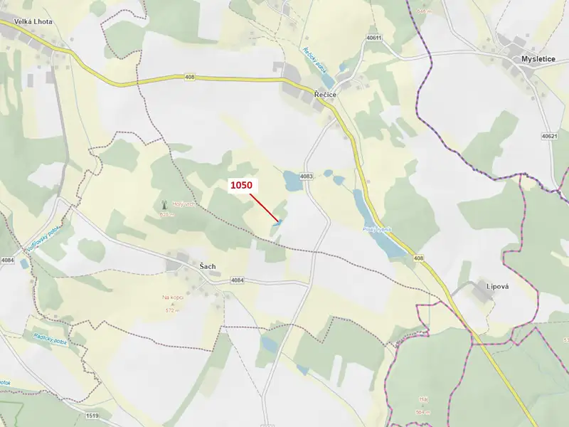 Dražba lesa 1007 m², Volfířov – náhled fotky 1