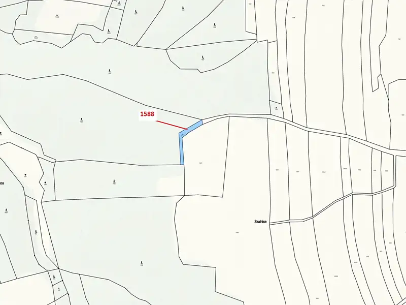 Dražba lesa 475 m², Slavče – náhled fotky 3