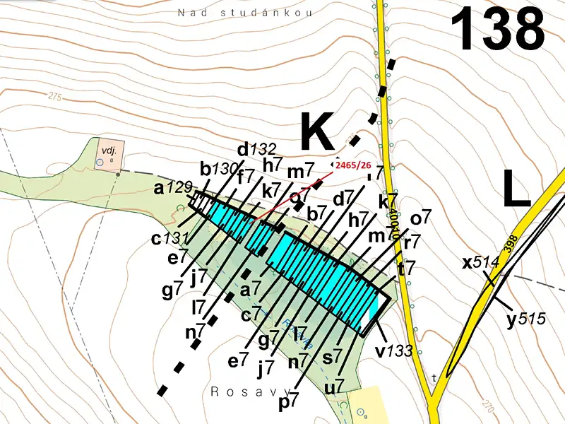 Dražba lesa 178 m², Horní Dunajovice – náhled fotky 3
