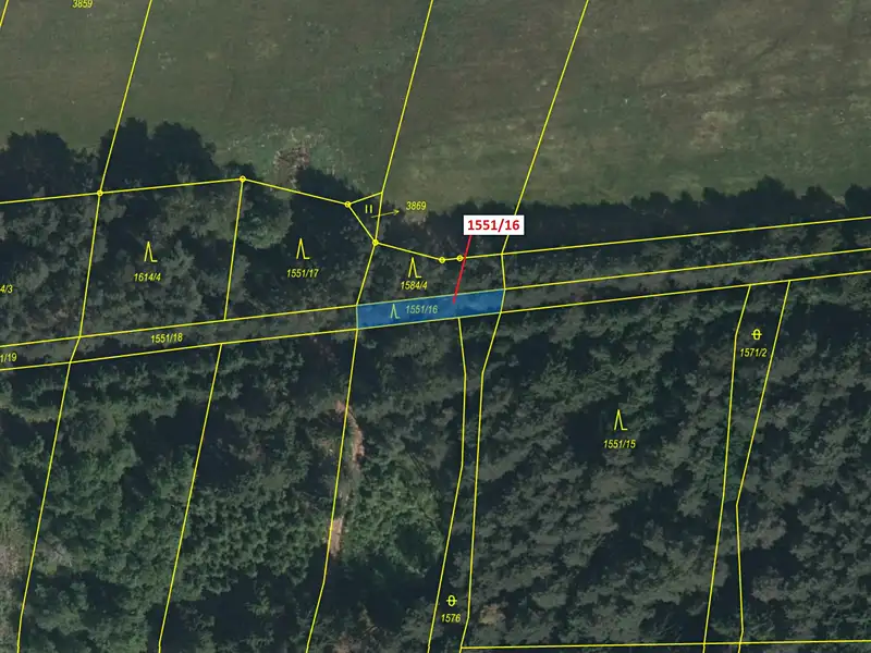 Dražba lesa 148 m², Nová Bystřice – náhled fotky 2