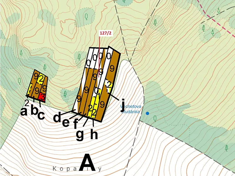 Dražba lesa 1615 m², Cidlina – náhled fotky 3