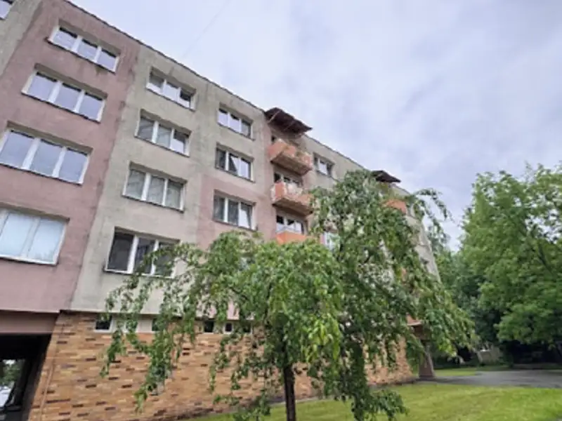 Dražba bytu 2+1 63 m², České Budějovice – náhled fotky 2