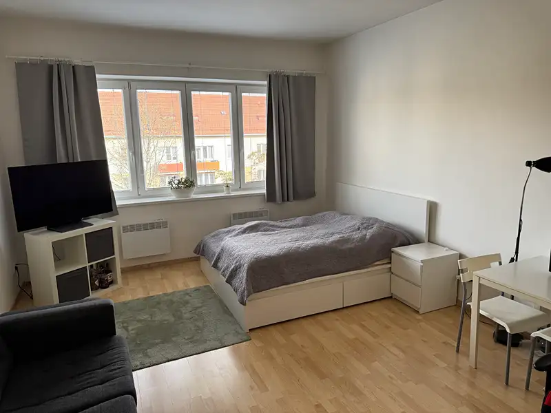 Pronájem bytu 1+kk 35 m², Brno – náhled fotky 1