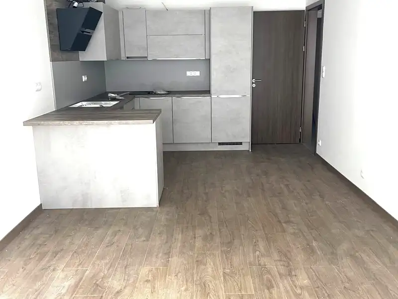 Pronájem bytu 2+kk 55 m², Praha – náhled fotky 2