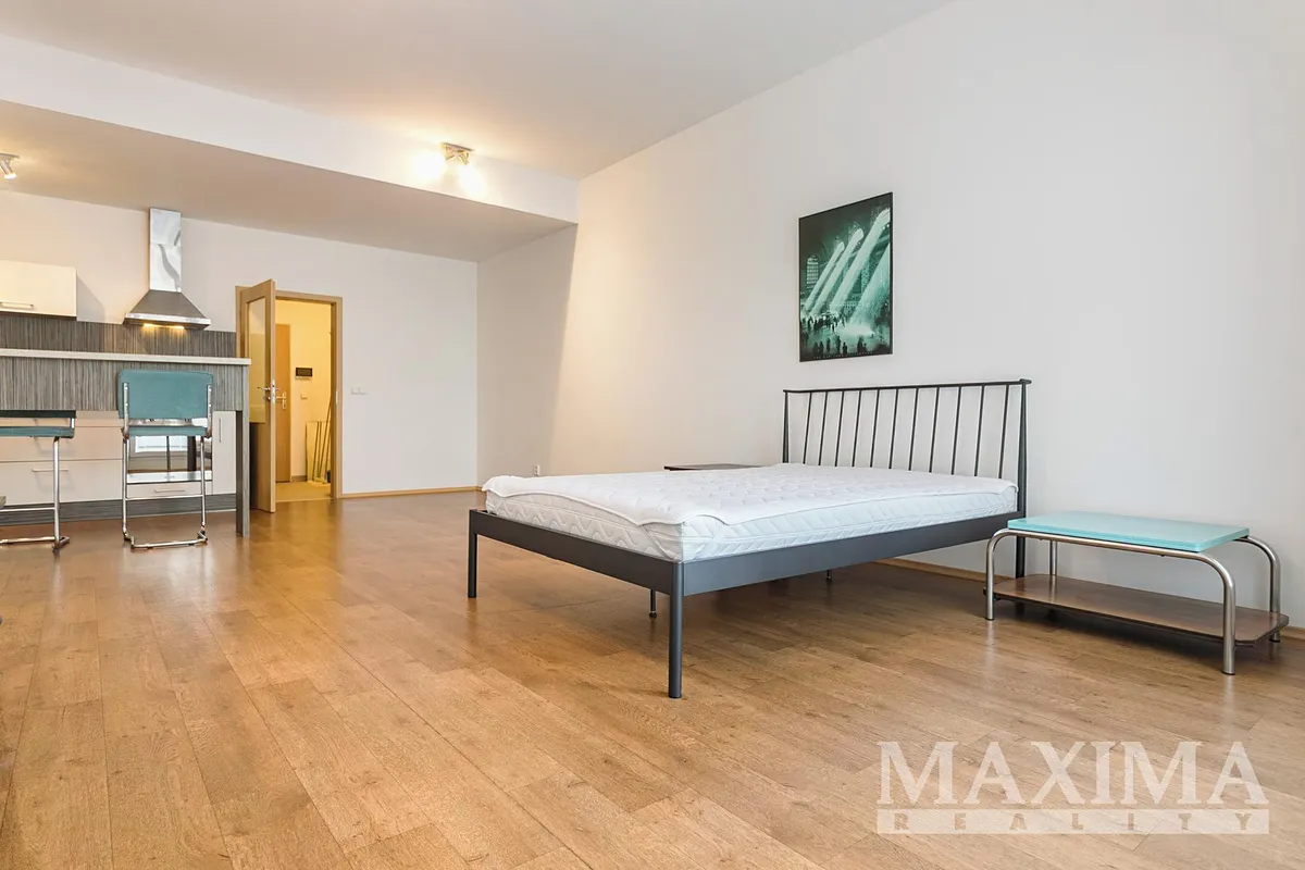 Pronájem bytu 1+kk 47 m²