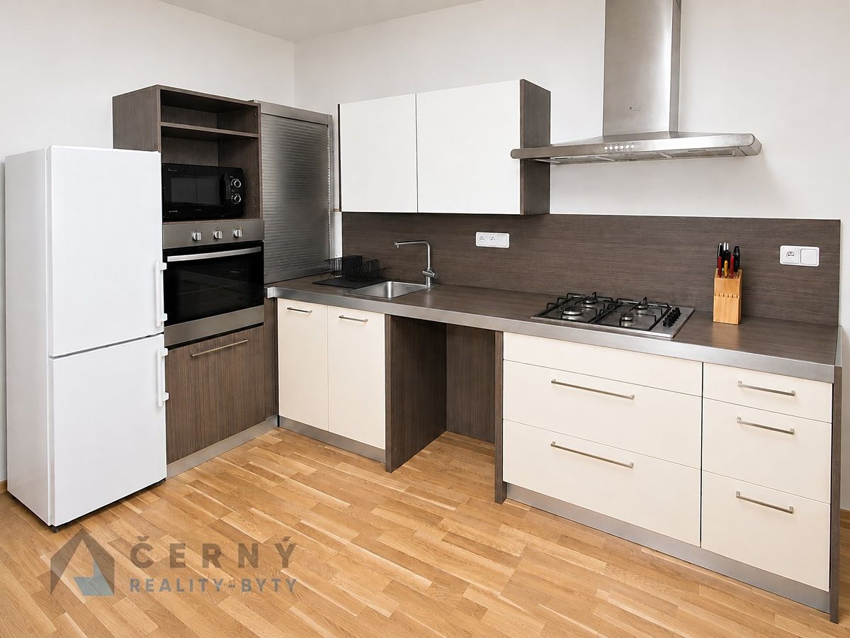 Pronájem bytu 2+1 49 m² – fotografie 3