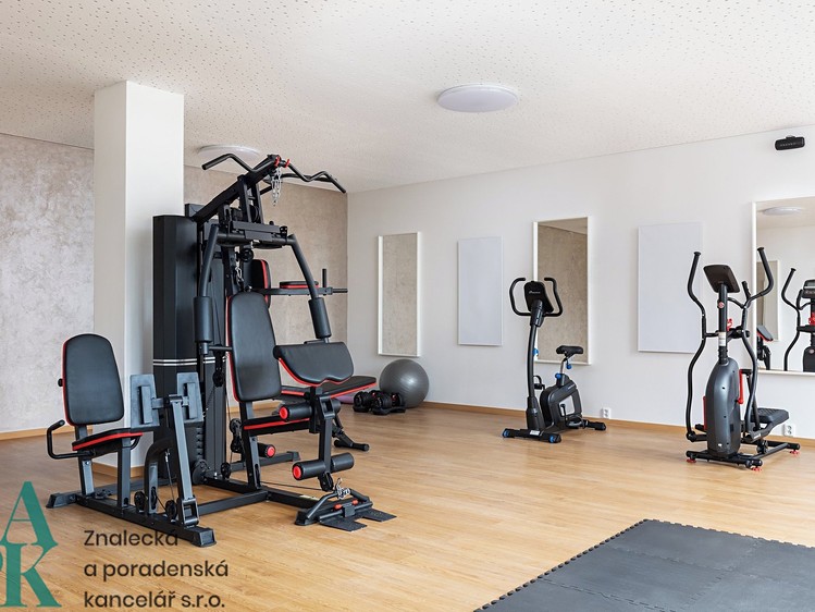 Pronájem bytu 1+kk, 26 m² (9 z 11)
